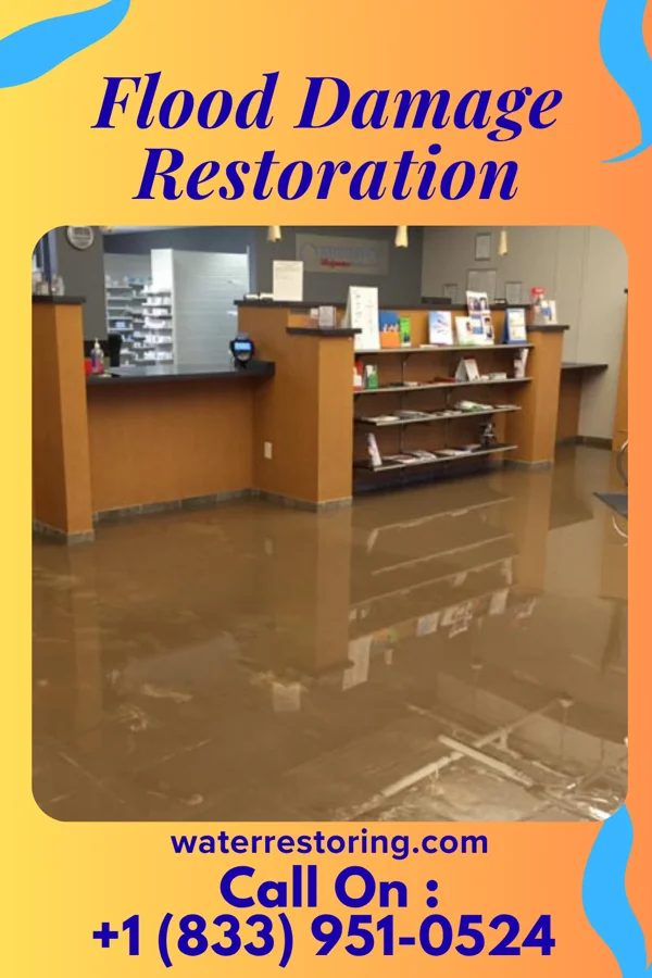 Flood Damage Restoration in Brownsboro, TX