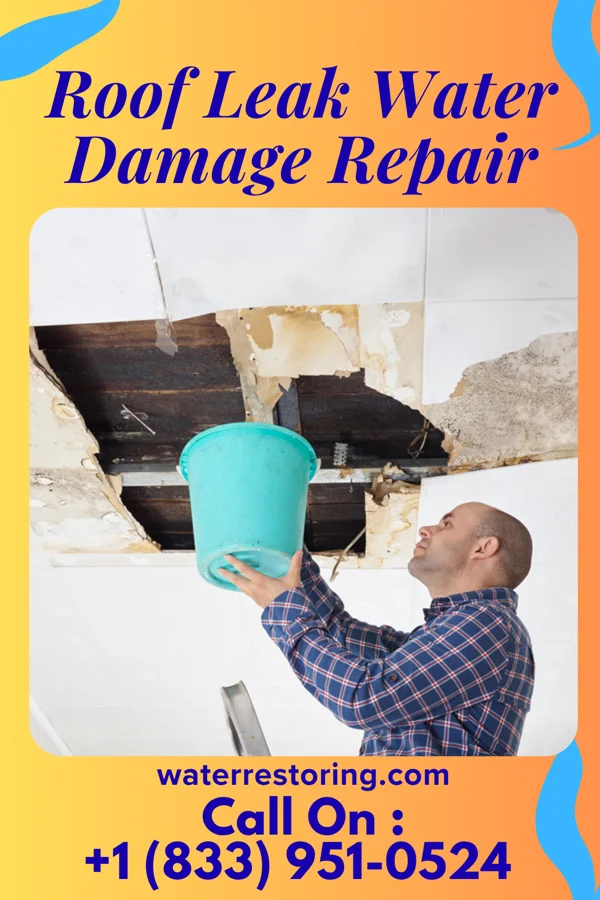 Roof Leak Water Damage Repair in Brownsboro, TX