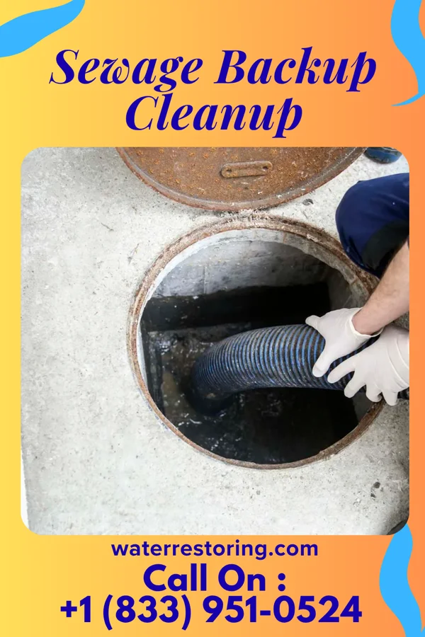 Sewage Backup Cleanup in Brownsboro, TX